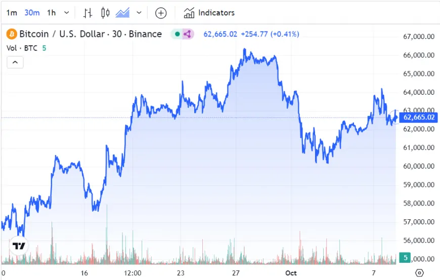 Bitcoin's Price Slides as China Pares Stimulus Plans