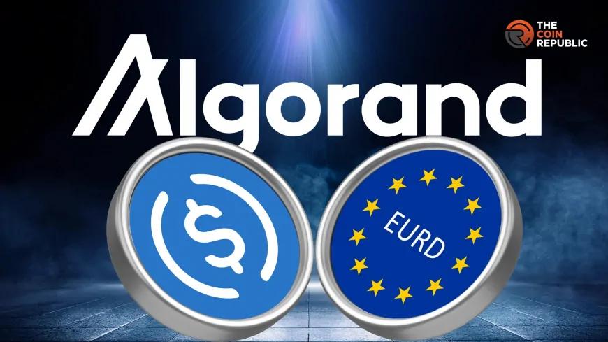 Algorand Excelling With MiCAR-Compliant Stablecoins: Why and How