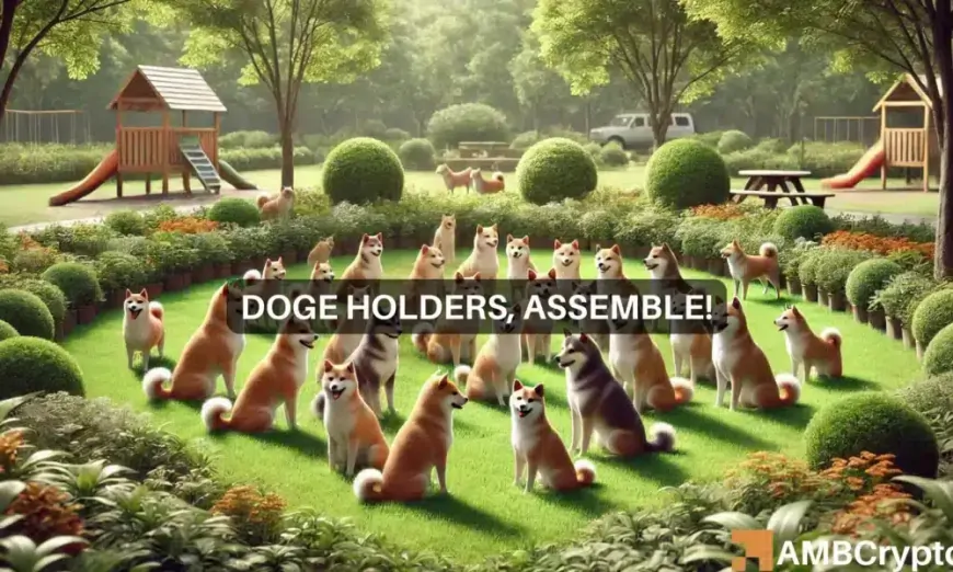 Dogecoin holders pile on 2.07B tokens: Sign of DOGE's rally?