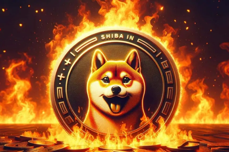 Shiba Inu Burn Rate Jumps 450%, SHIB Price Rally To $0.0001 Next?