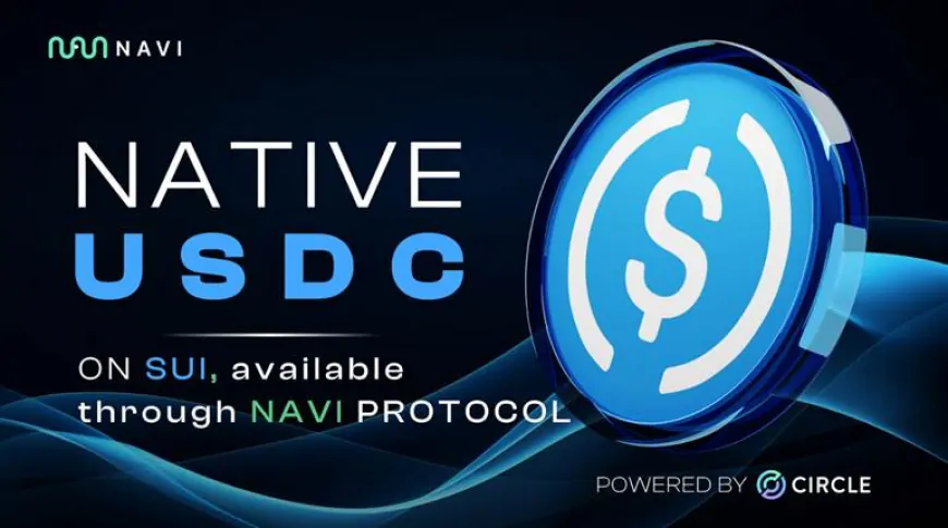 Native USDC on Sui – Available Through NAVI Protocol 