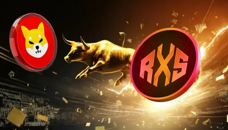 Analyst Issues Bold Price Prediction for the 2025 Bull Run, Claims Shiba Inu (SHIB) and One Other Token Will Enter the Top 10 Cryptos