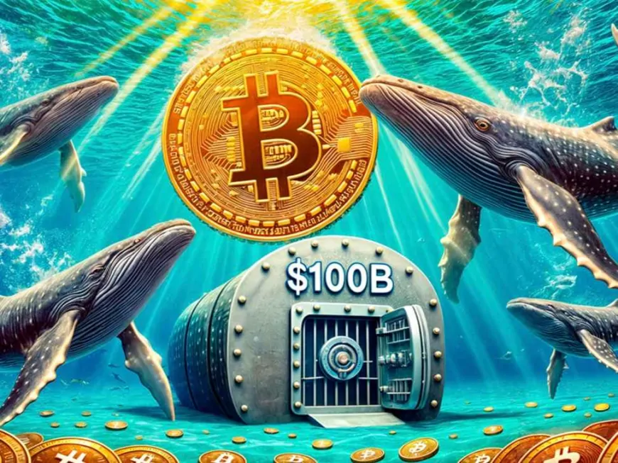 Whales Put $100B into BTC: Is a Rally Coming?