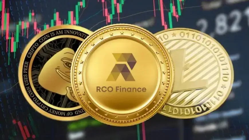 $500 in PEPE vs. $500 in RCO Finance: Which One Will Get You $50k by Early 2025?