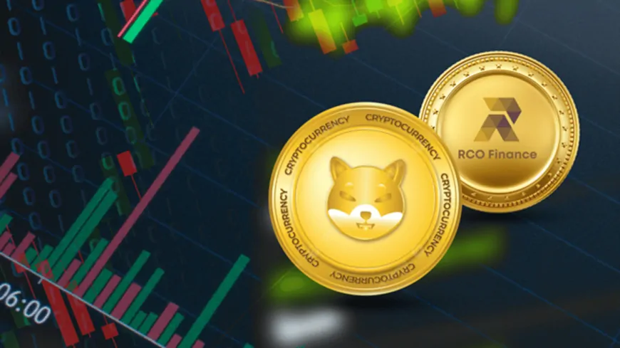 Shiba Inu vs. RCO Finance vs. Solana: Which One is Likely to Boost Your Portfolio by $50K with a $1k Investment?