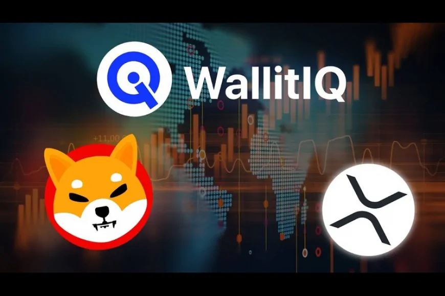 Shiba Inu (SHIB) And Ripple (XRP) Move To WallitIQ (WLTQ) AI Token For 3500% Gain