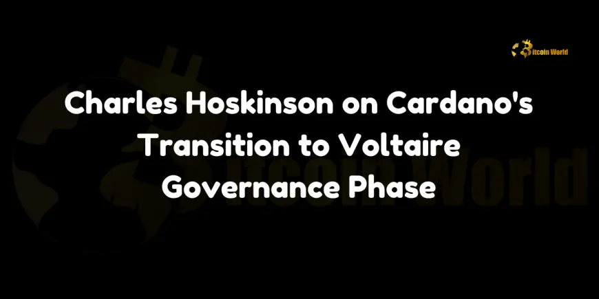 Cardano Voltaire governance phase