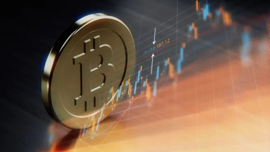 Bitcoin Whales Buy Over 1.5 Million BTC In 6 Months: A Mega Rally Incoming?