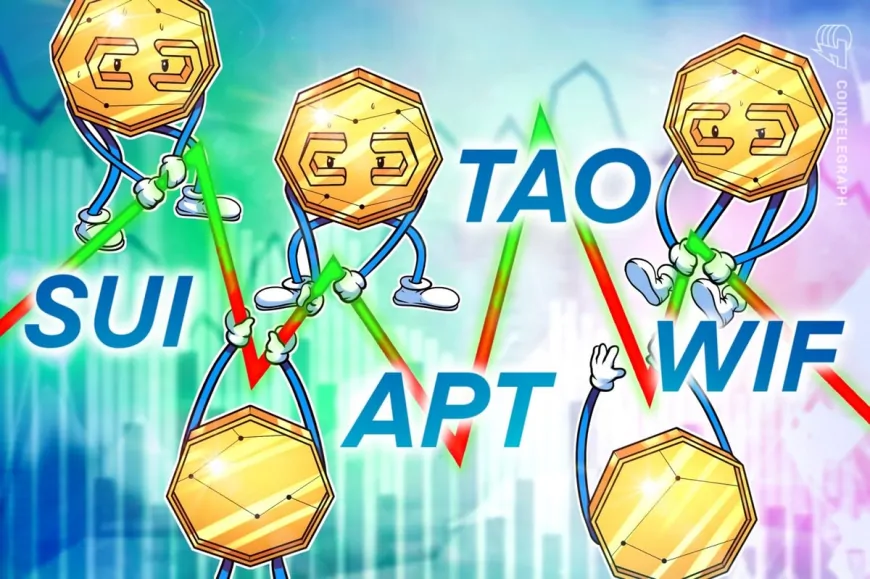 Bitcoin's indecisiveness could drive investors to SUI, APT, TAO, and WIF