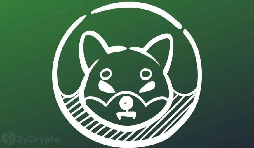 Shiba Inu Could See 1000% Explosion In Just 3 Days, Asserts SHIB Insider Amid Ecosystem Growth