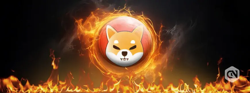 Shiba Inu Burn Rate Skyrockets 14575%, SHIB Price Rallies