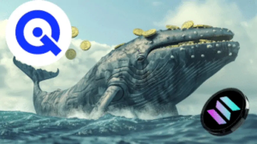 Solana Price Prediction: Surge In Whale Transactions Suggest Legendary 1,000% Move To The Upside For SOL, But This Rival Altcoin Could Beat It