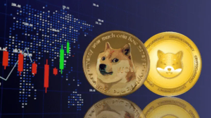 Dogecoin Price Prediction: Huge DOGE Whale Moves Millions, Transactions Link to this SHIB Rival