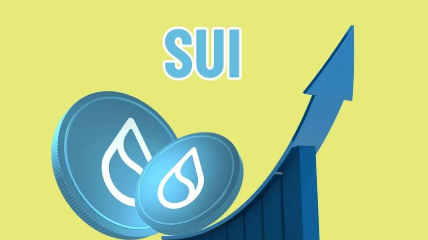 SUI Rises 120% in One Month and Sparks Accusations of Inside Trading