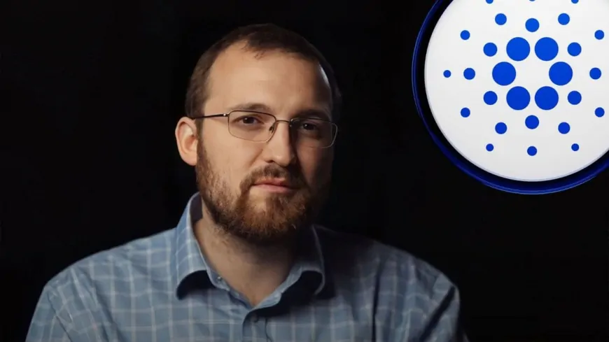 Charles Hoskinson Acknowledges Cardano Sentiment Shift but Stands by Voltaire's Vision