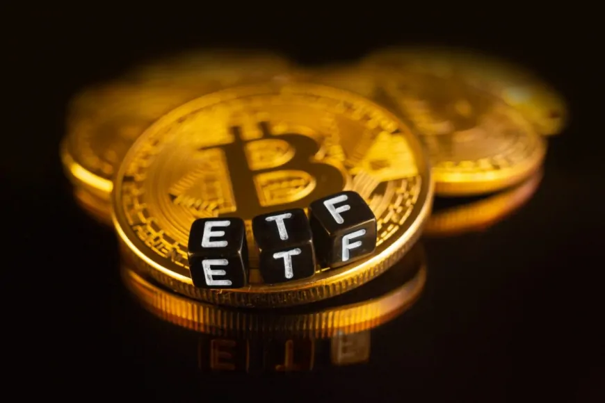 Spot Bitcoin ETF Inflows Shoot Over $555 Million, Is It A Better Bet Than MicroStrategy?