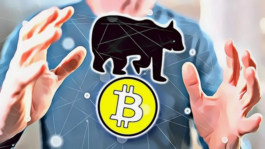 Bitcoin Bull Market Drawdown Reaches -26% Amid Whale Accumulation And ETF Inflows