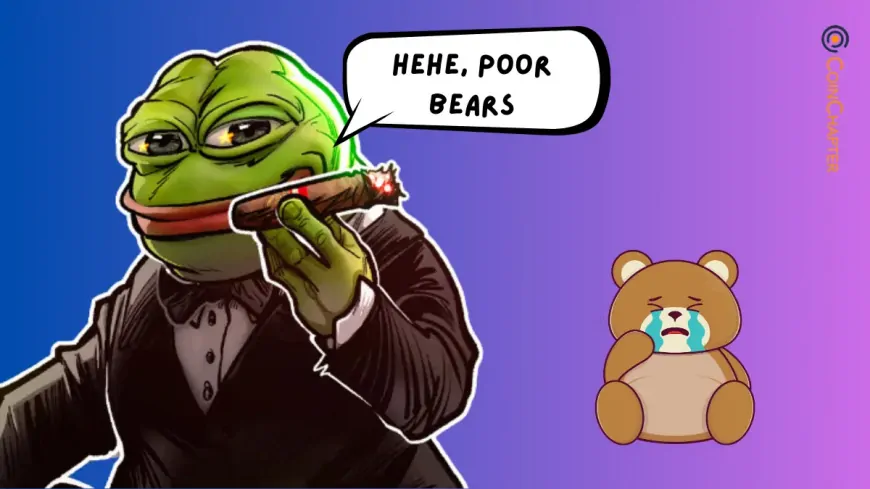 Pepe Coin (PEPE) Could Soar 15%: Are Traders Ready for a Wild Ride?