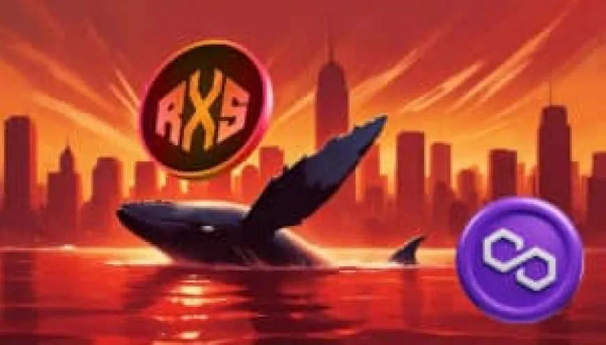 This Whale Held Polygon (POL) from $0.0029 to $2.94 Last Bull Cycle, Now Invested Over $50,000 in This New Altcoin Below $0.08