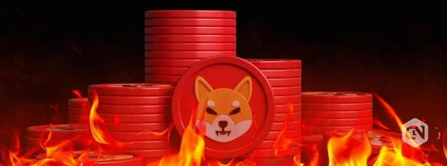 Shiba Inu Community Burns 281M SHIB, Price Rally Ahead?