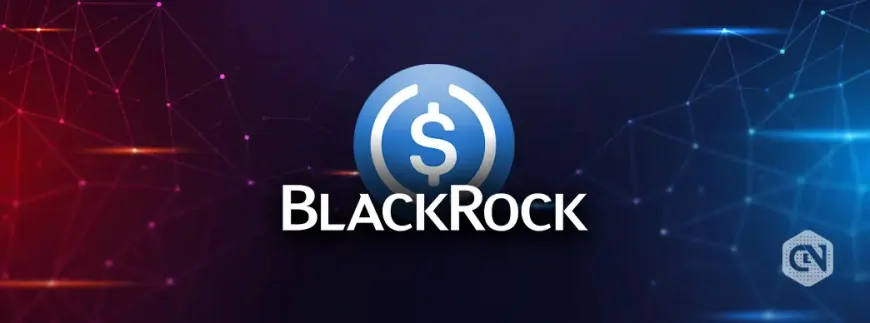 BlackRock's BUIDL Fund Now Allows USDC Purchases