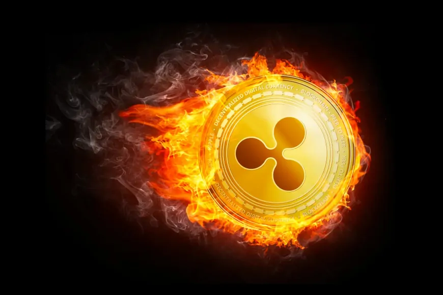 Ripple Partners with Leading Exchanges to Launch RLUSD Stablecoin