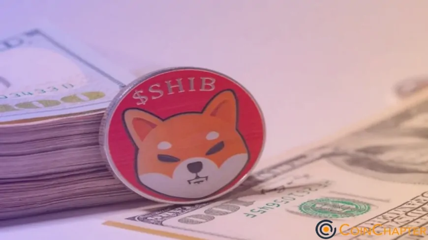 Shiba Inu (SHIB) Set to Explode? On-Chain Data Tells a Different Story!