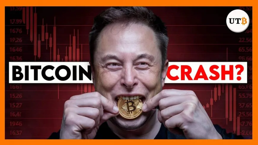 Elon Musk's Tesla Just Transferred ALL Its Bitcoin