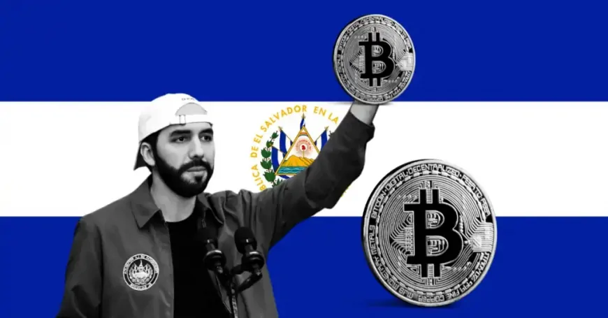 New Survey Reveals Salvadorans Support Bukele but Shy Away from Bitcoin