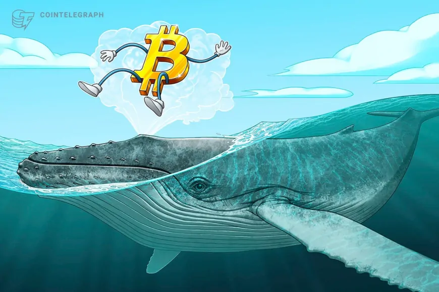 Early Bitcoin-era whale moves $630K to Kraken, $5.5M in 2 months