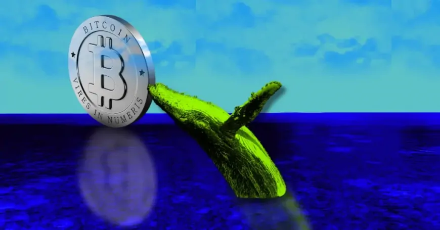 Satoshi-era Whale Moves BTC Worth $630k To Kraken, $5.5M In 2 Months!