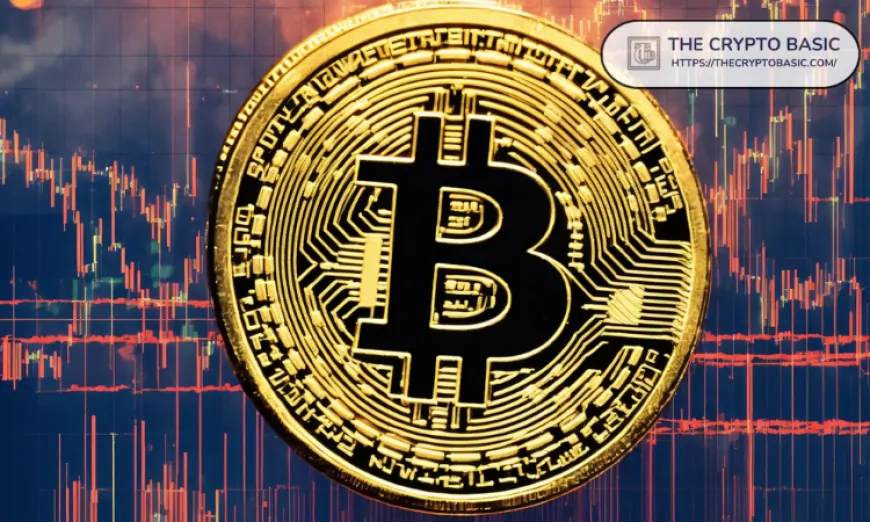 Bitcoin Finally Breaches $67,000: Here's Why BTC is Pumping