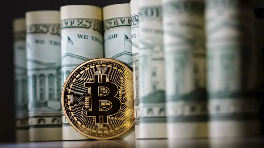 Critical Development in Bitcoin-Dollar Index! Will There Be a Decoupling? Here Are the Details