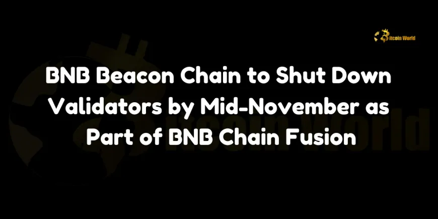 BNB Beacon Chain to Shut Down Validators by Mid-November as Part of BNB Chain Fusion