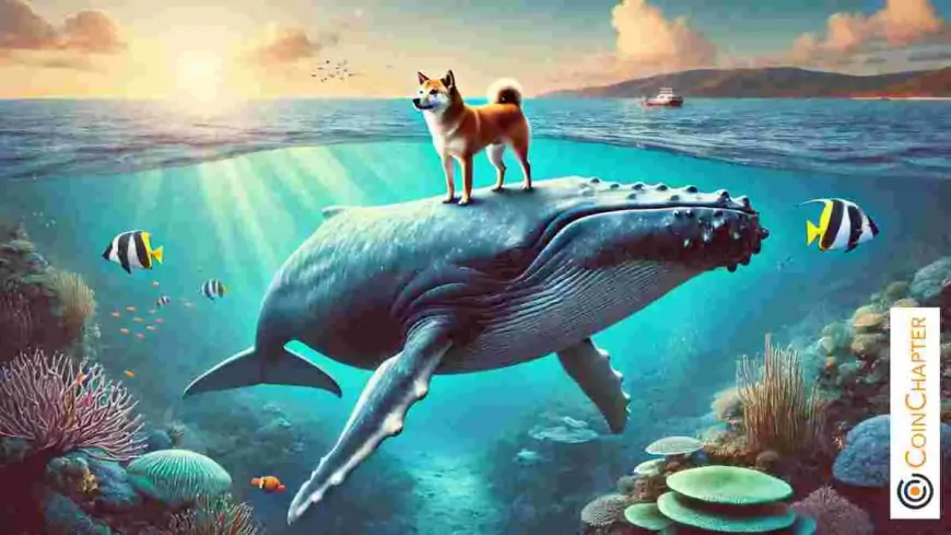 Shiba Inu (SHIB)- New Partnership Sparks 517% Surge in Whale Activity