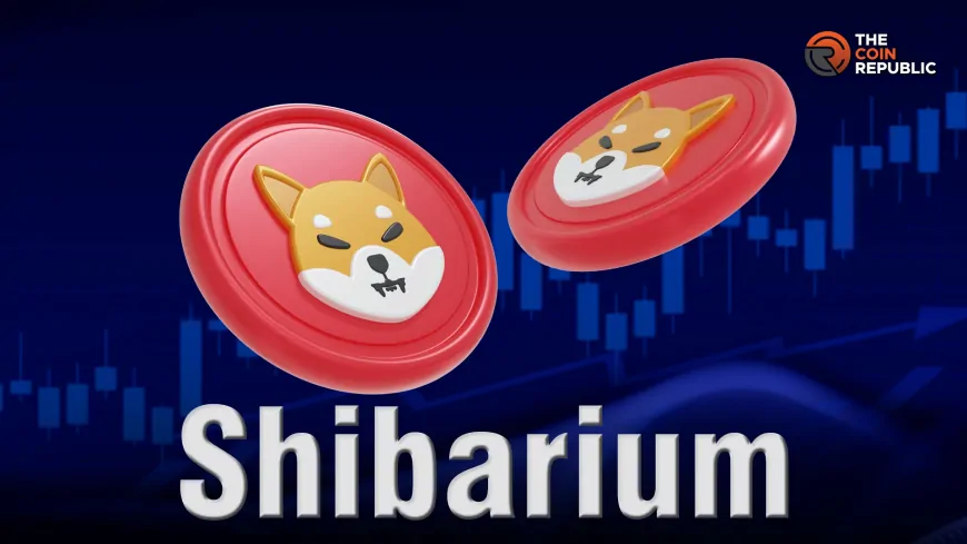 Shibarium TVL Strikes A New All-Time High As SHIB Gains Over 4% In 24 Hours