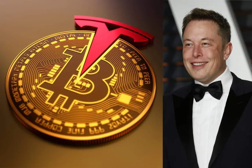 Tesla Moves $765M Bitcoin To Unknown Wallets, Raising Questions About Elon Musk's Crypto Strategy