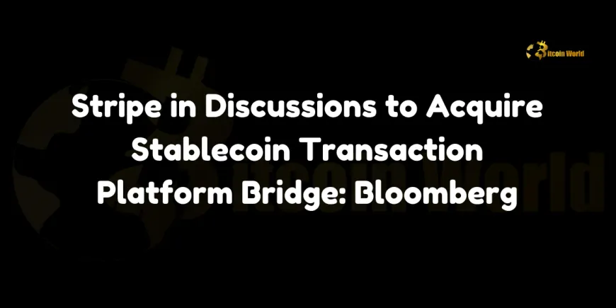 Stripe in Discussions to Acquire Stablecoin Transaction Platform Bridge: Bloomberg