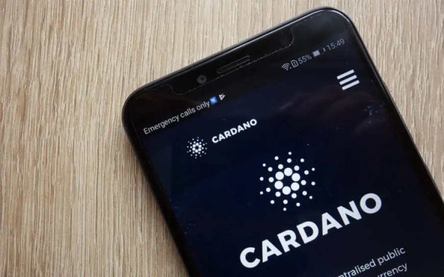 Cardano Community Calls Out a16z Over Major Boycott