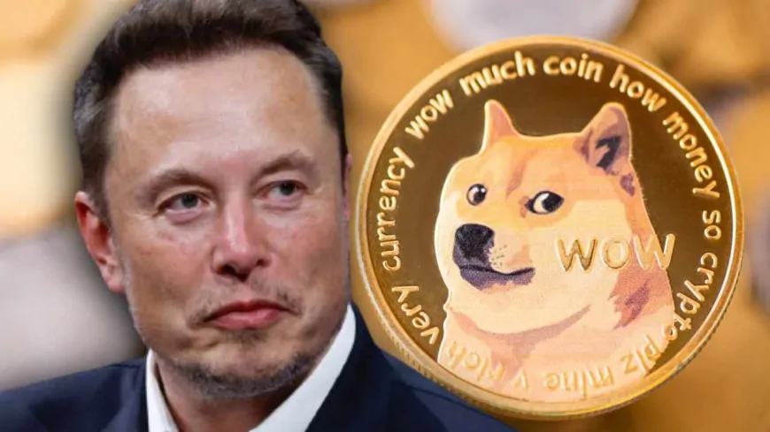 Elon Musk Tweet Fuels Dogecoin Surge, Sends Department Of Government Efficiency (DOGE) Meme Coin Soaring