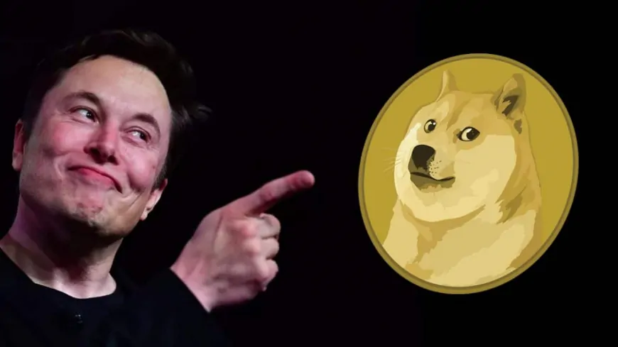 Elon Musk Announced His New Project, Dogecoin (DOGE) Soared! Here Are the Details….