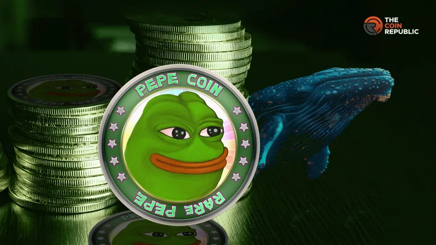 Whales Stacking Up Pepe As The Memecoin Sees Recovery