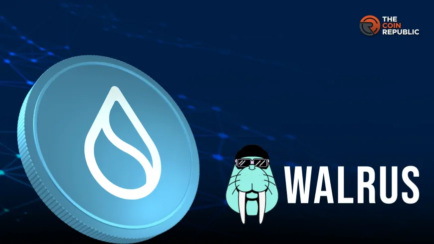 Sui Network's Walrus Testnet Goes Live, Impact on SUI Price