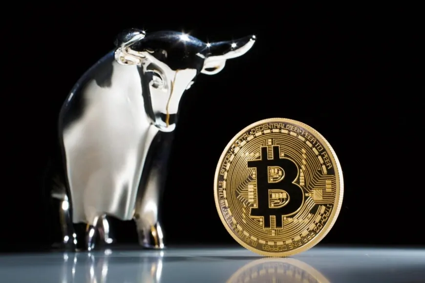 Will Bitcoin's Rally Continue? Analytics Company Representatives Speak Out