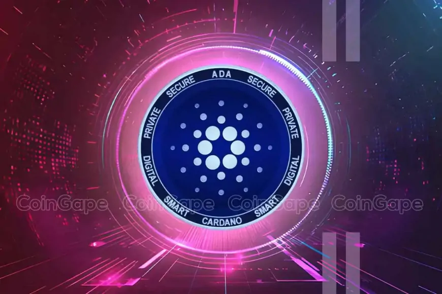 ADA Whales In Spotlight Cardano Summit In Argentina Kicks Off