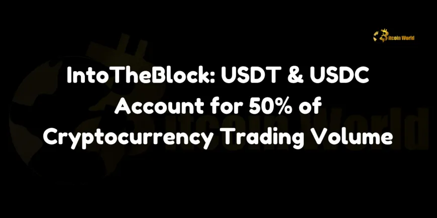 USDT & USDC Account for 50% of Cryptocurrency Trading Volume