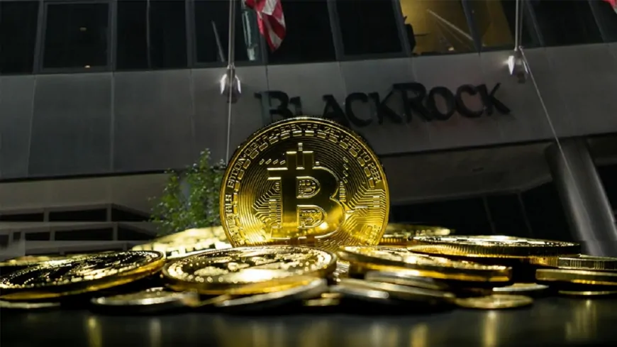 BlackRock Senior Executive Makes Statement on Bitcoin and Cryptocurrencies