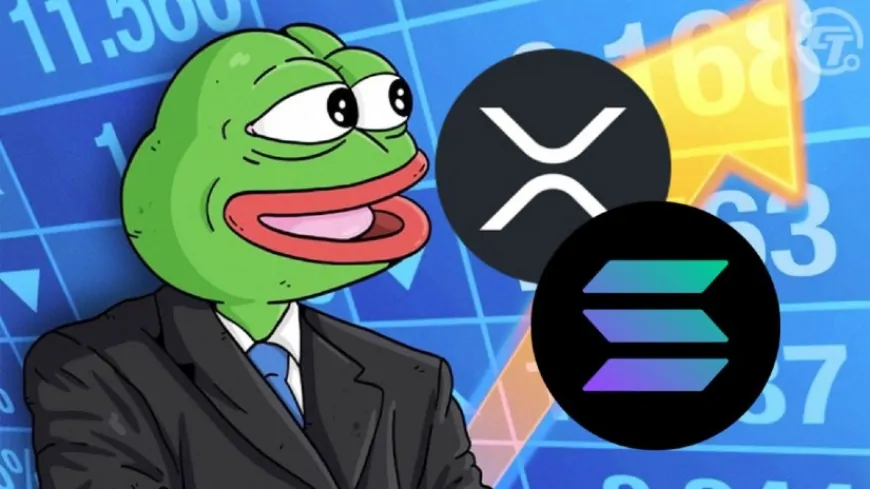 Expert from Wall Street Says Sports Meme Coin is Set for 500x Returns, Outperforming Solana and Ripple (XRP) in Bull Cycle