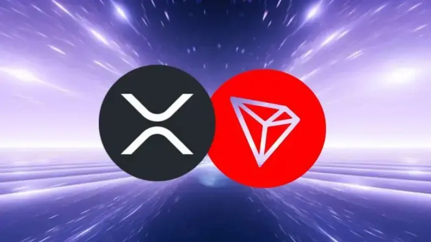 Cardano (ADA) or Tron (TRX) - Who Will Reach the $1 Mark First in the Upcoming Bull Run?