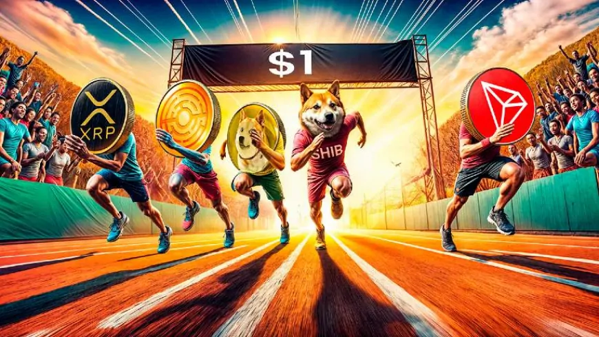 DOGE, XRP, SHIB, TRX, or MTAUR: The First to Reach $1 – Who Will Win?